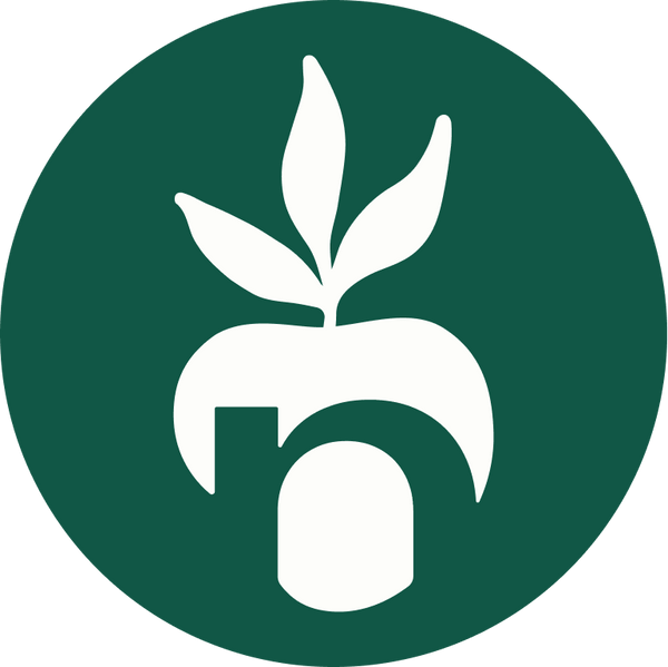 NATURE TASTE Shop