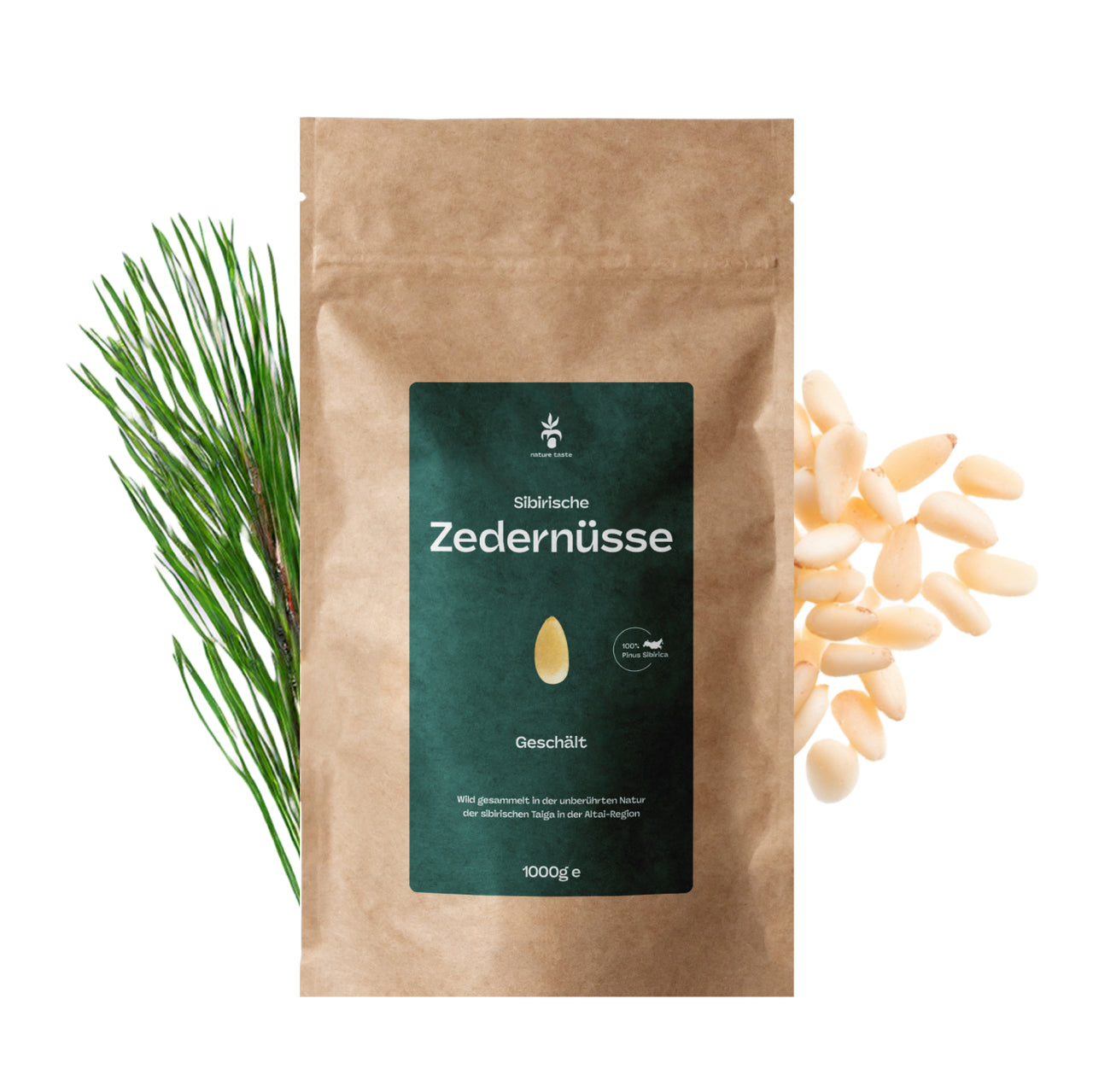 Pinienkerne aus Sibirien (Zedernüsse) - Frische Ernte - unbehandelt und naturbelassen
