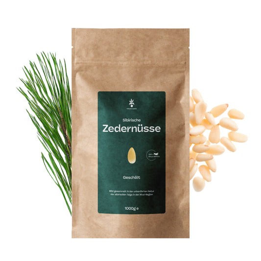 Pinienkerne aus Sibirien (Zedernüsse) - Frische Ernte - unbehandelt und naturbelassen