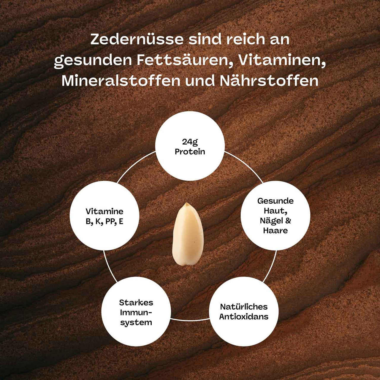 Pinienkerne aus Sibirien (Zedernüsse) - Frische Ernte - unbehandelt und naturbelassen
