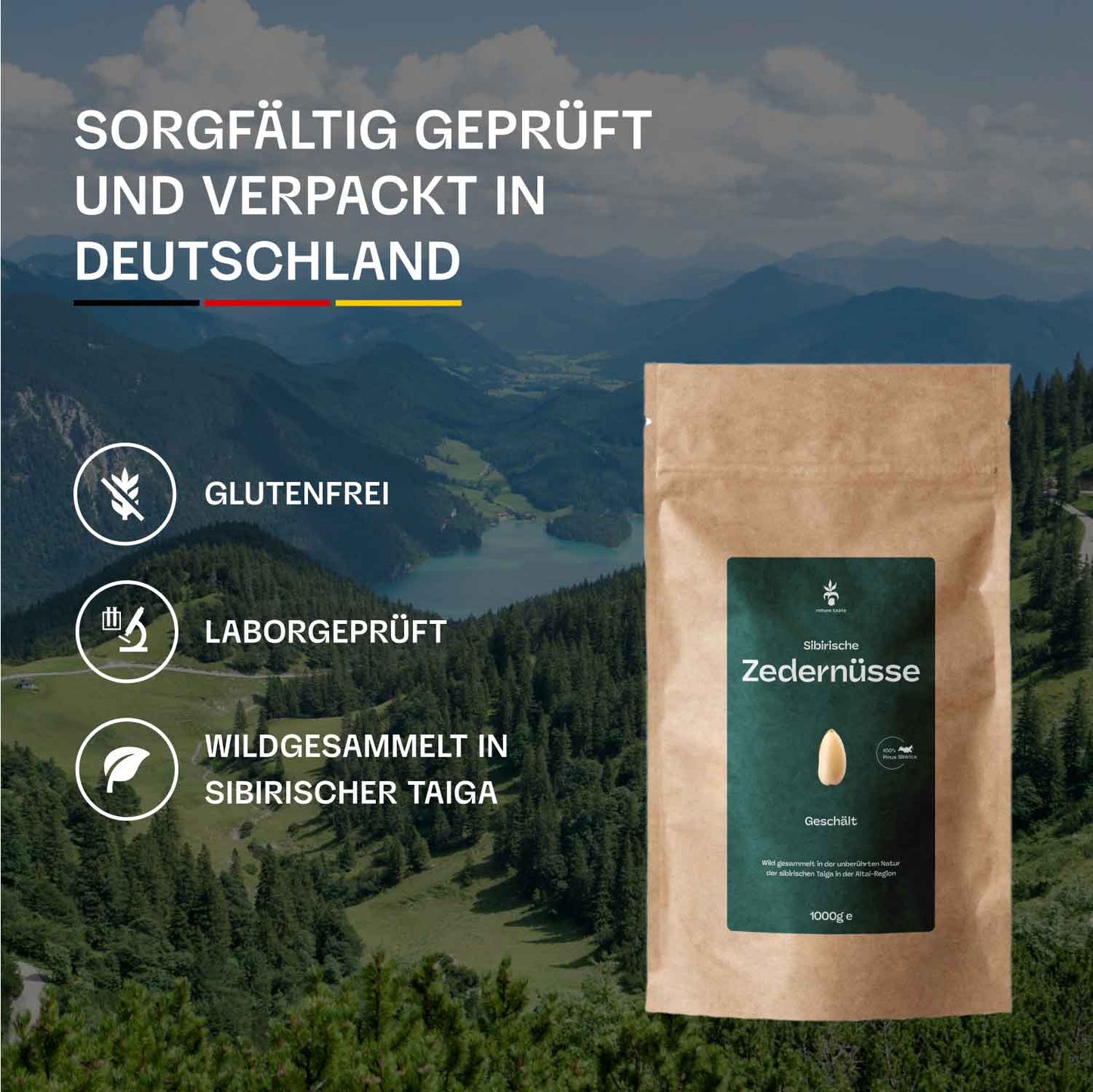 Pinienkerne aus Sibirien (Zedernüsse) - Frische Ernte - unbehandelt und naturbelassen