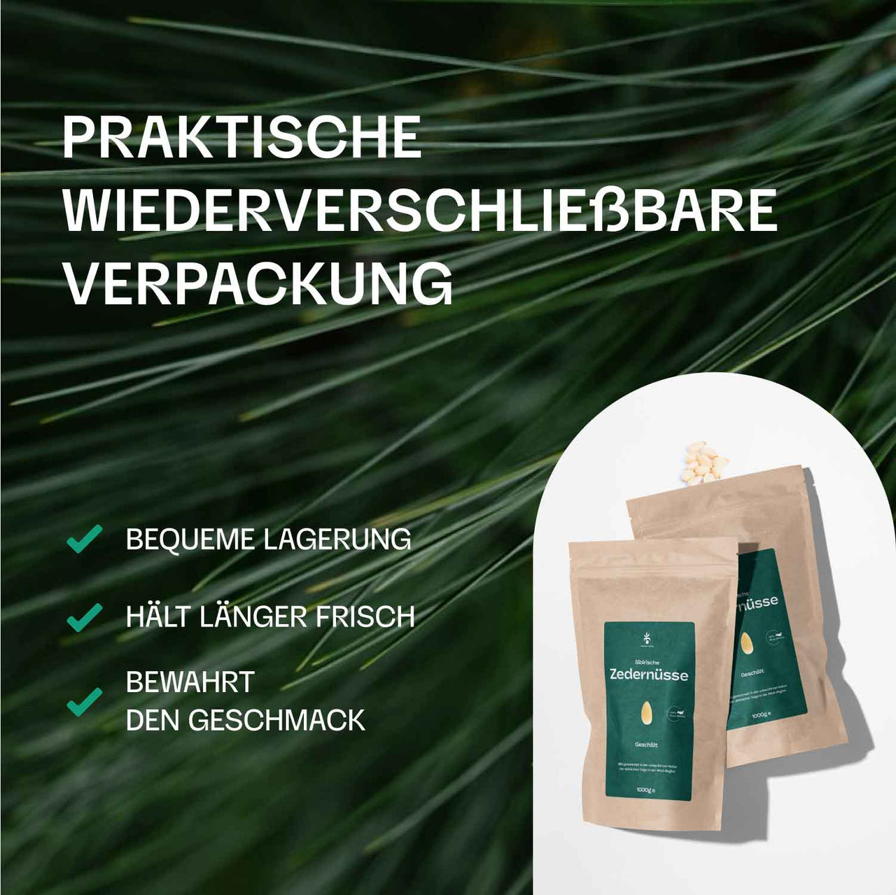 Pinienkerne aus Sibirien (Zedernüsse) - Frische Ernte - unbehandelt und naturbelassen